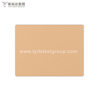Rose Gold 304 316 Sand Blasted Decorative Stainless Steel Sheet